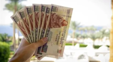 عوائد مرتفعة.. بنك ناصر يواصل طرح شهادة رد الجميل بعد تغيير الفائدة بمنصات الاستثمار